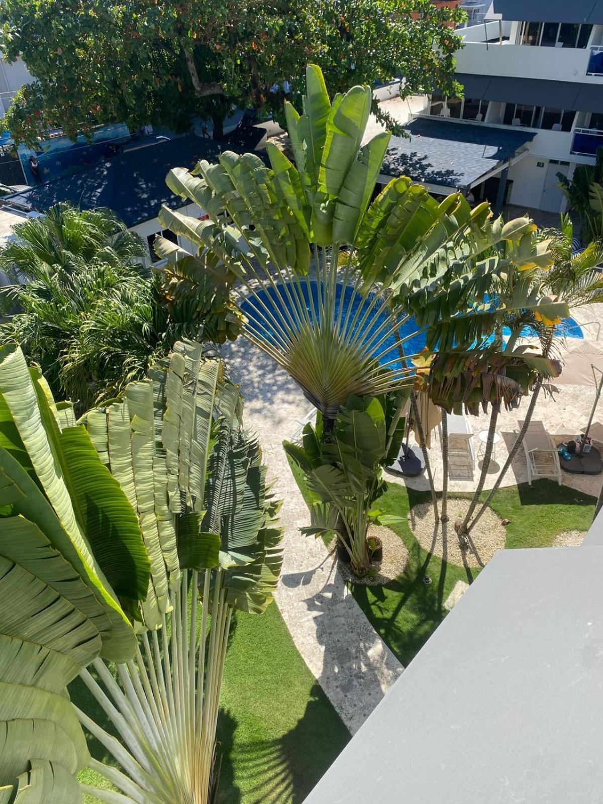 New Garden Hotel Sosúa Buitenkant foto